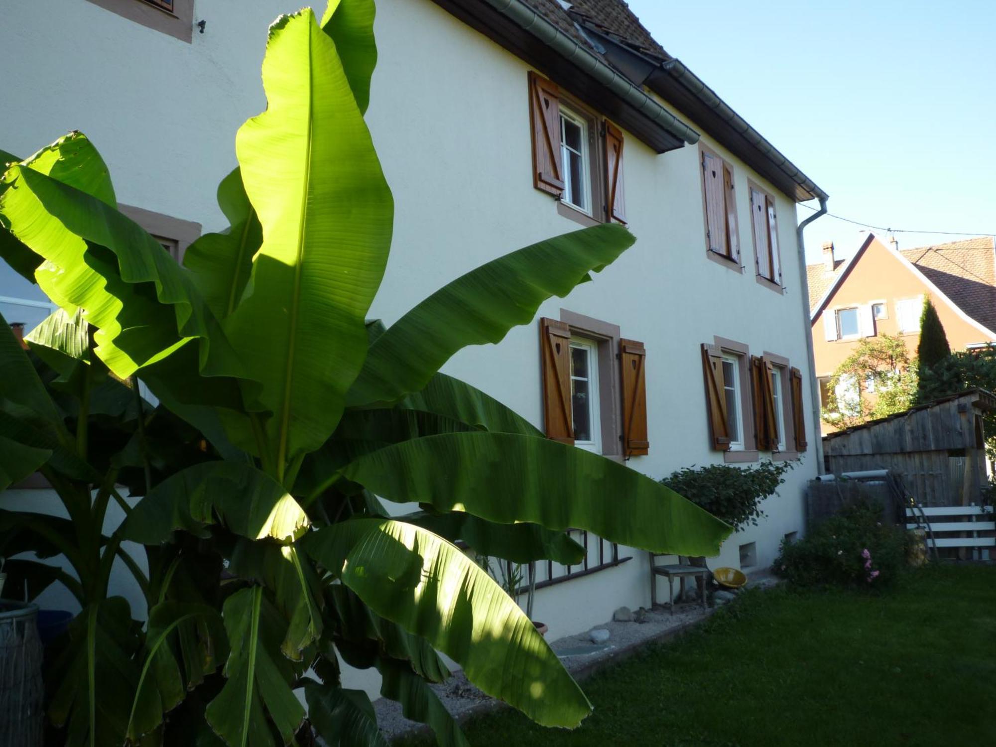 Gite La Charmaie Husseren-Wesserling Exterior photo